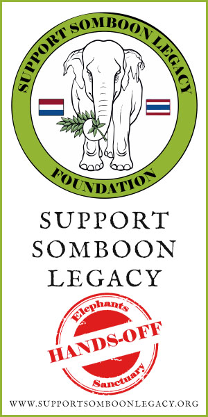 Support Somboon Legacy Banner