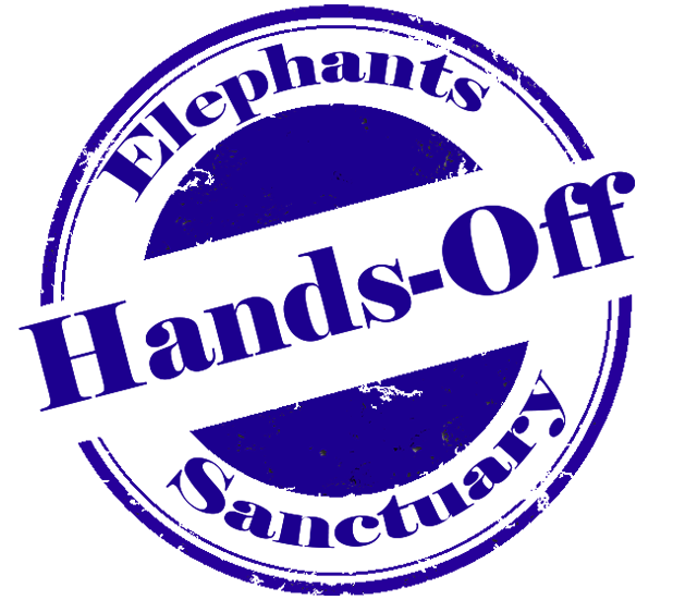 Hands Off Sanctuary Somboon Legacy