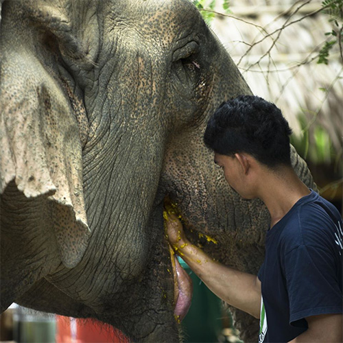 Over ons Support Somboon Legacy Foundation