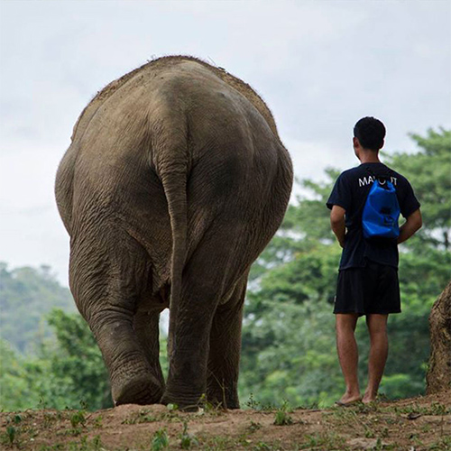 Over ons Support Somboon Legacy Foundation