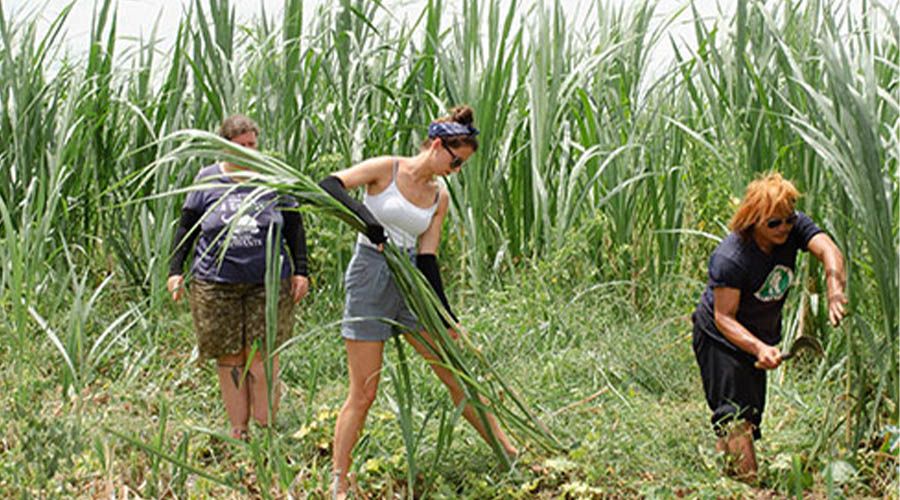 Ontdek Somboon Legacy Foundation